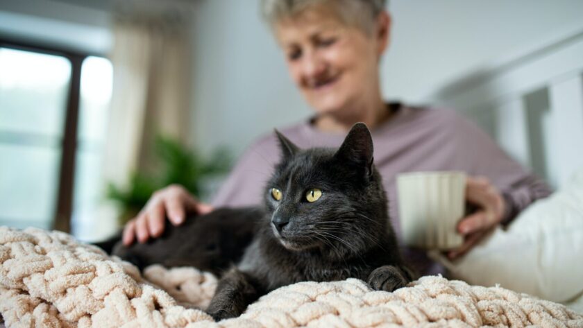 Äldre kvinna som klappar en svart katt på en säng.